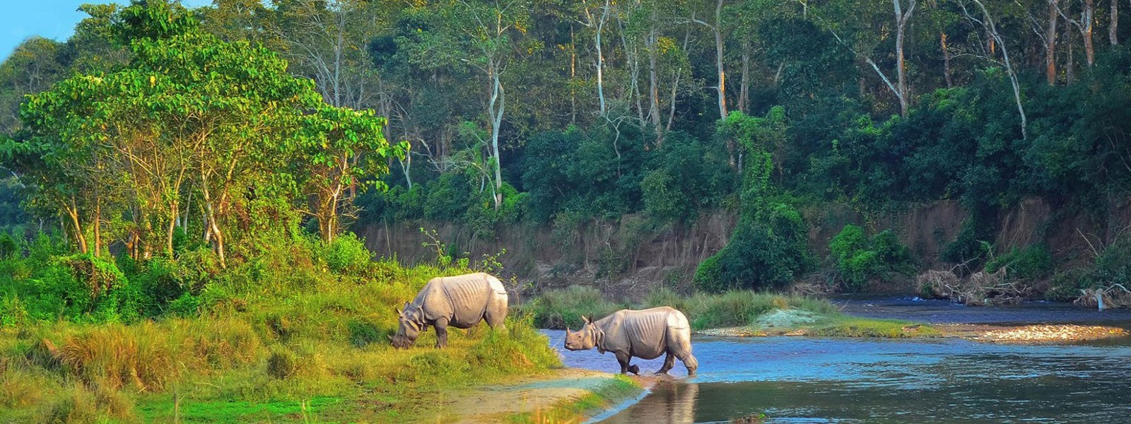 Chitwan Jungle Safari 