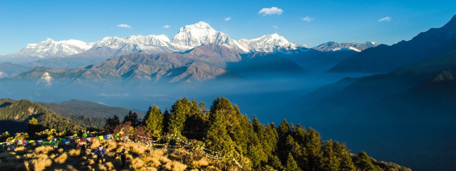 Annapurna, Chitwan and Everest 