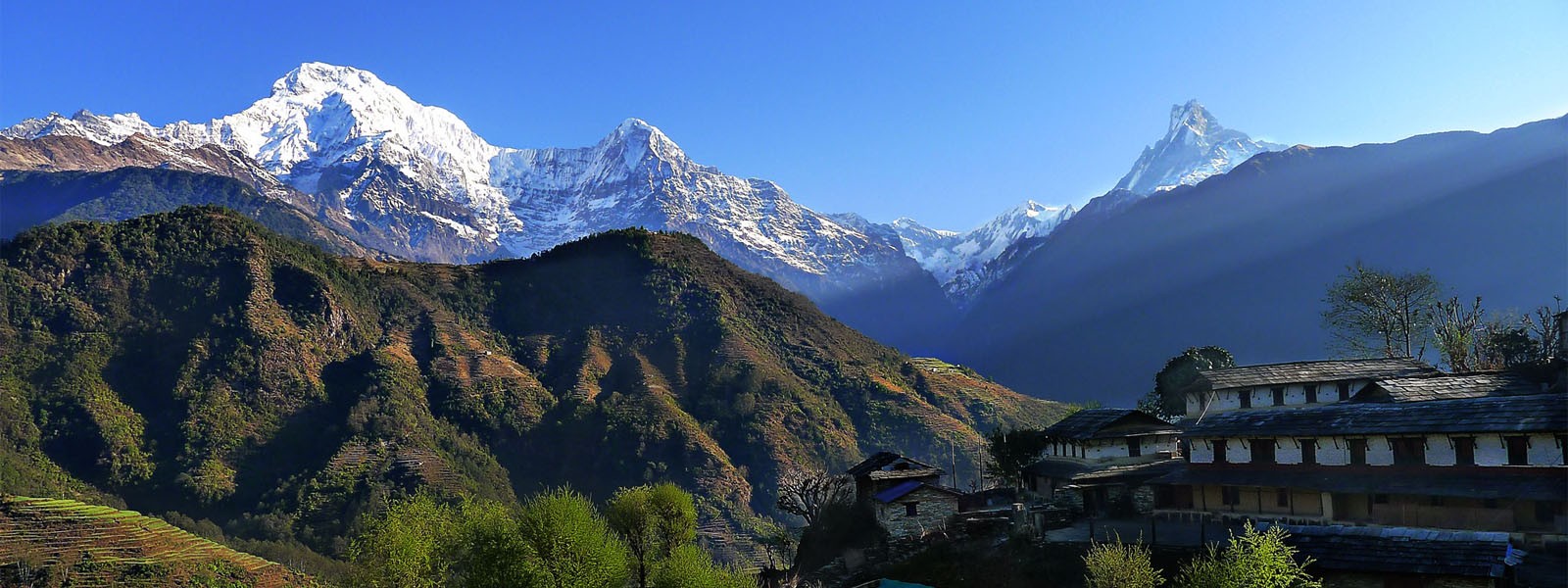 Ghorepani Poon Hill and Annapurna Base Camp Trekking