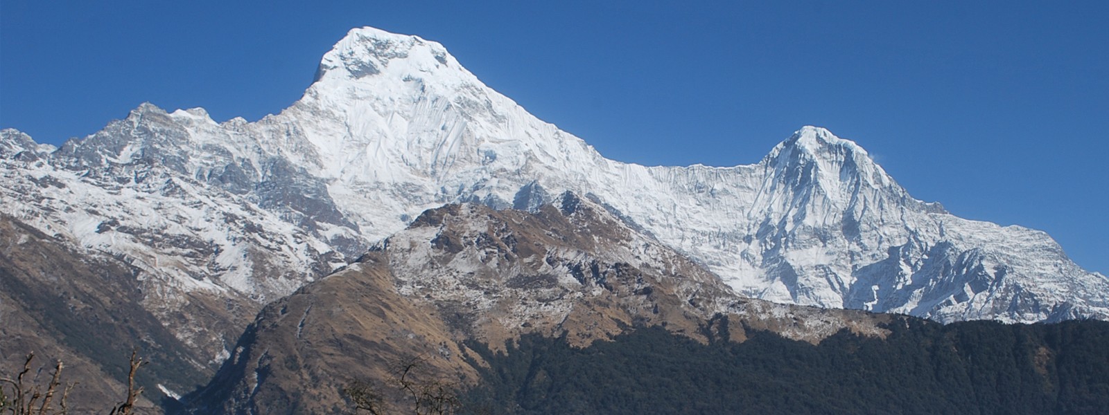 Mt. Annapurna South Expedition in Annapurna Region