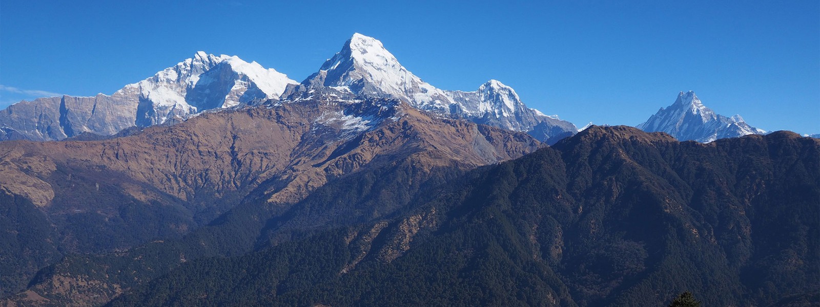Ghorepani Poon Hill and Annapurna Base Camp Trekking