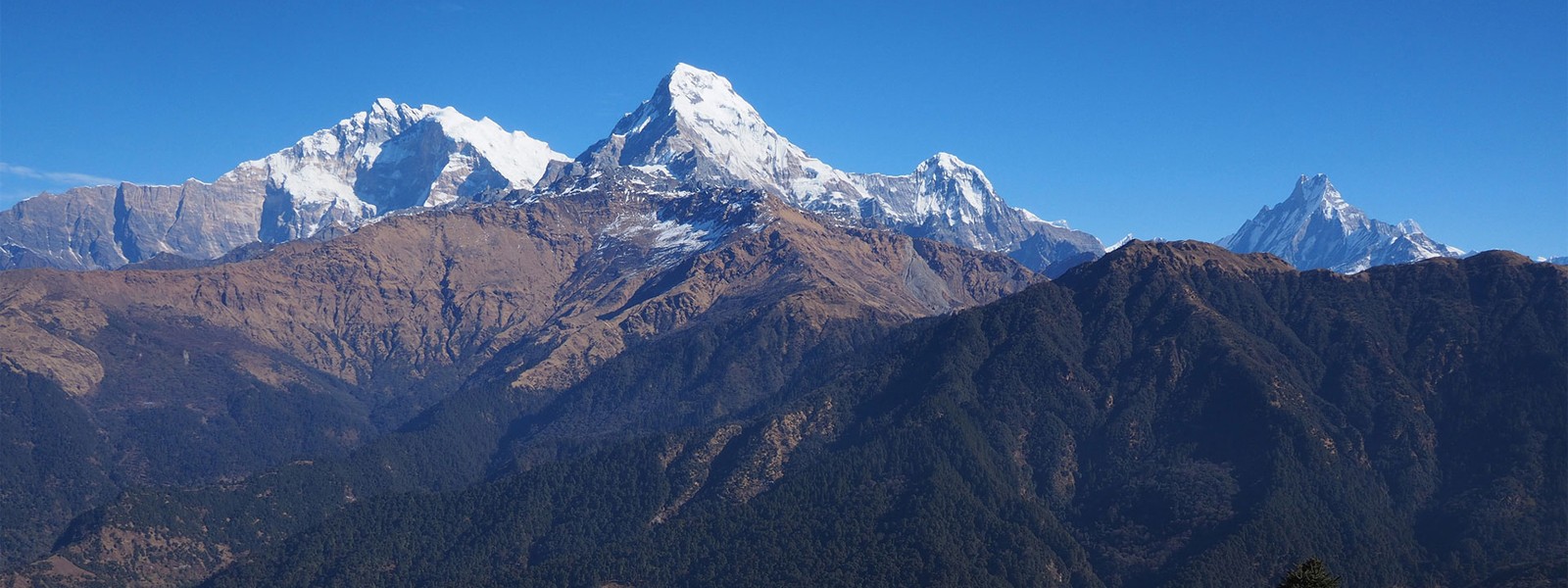 Mount Annapurna South and Hiunchuli 