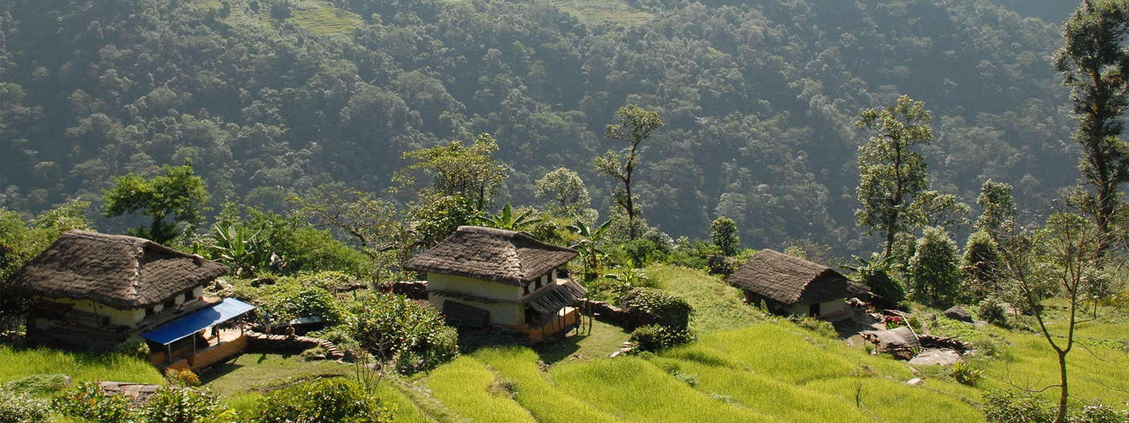 Arun Valley with Makalu Base Camp Trek