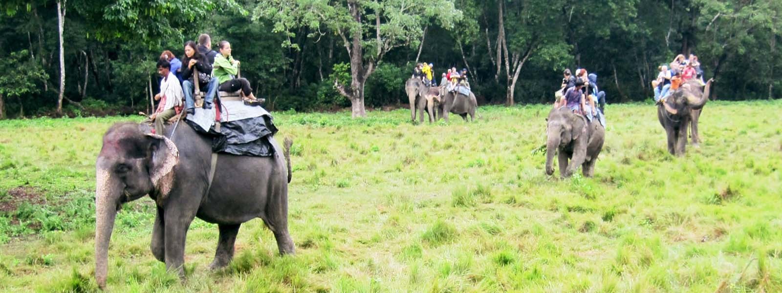 Bardiya Jungle Safari Nepal