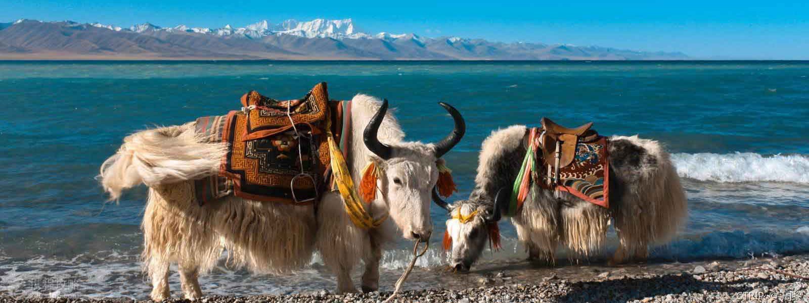 Kathmandu - Lhasa Overland Tours