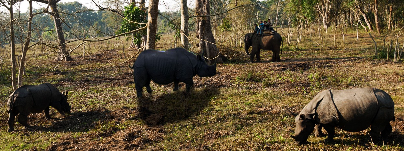 Nepal Jungle Safari Tour