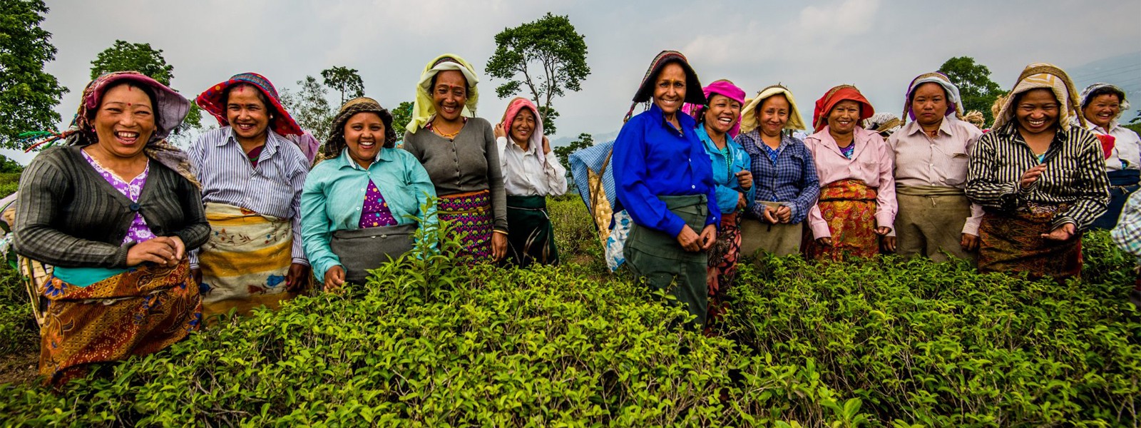 Explore the Himalayan Heritage Tour around Darjeeling and Sikkim