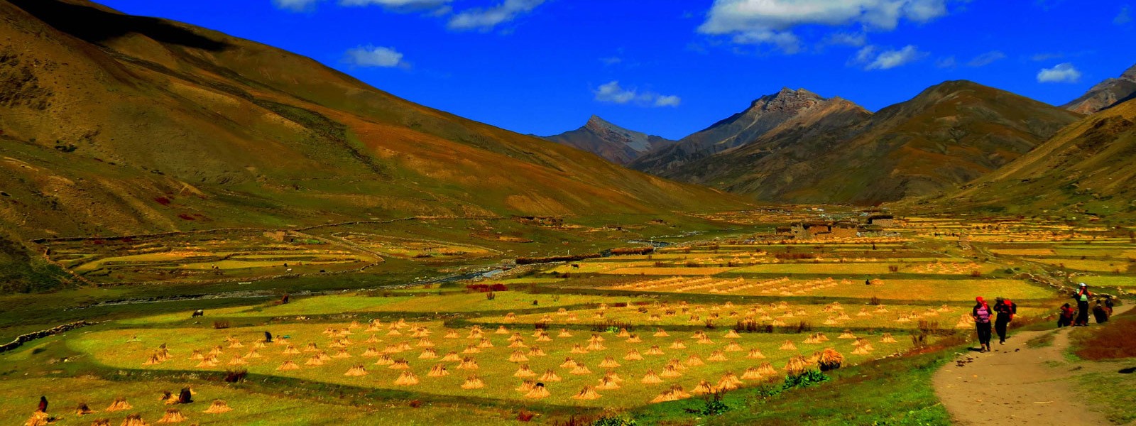 Dolpo High Passes 