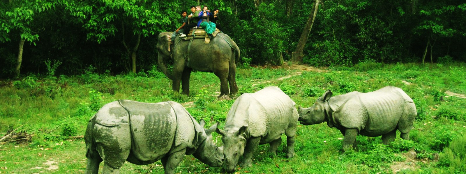 Everest Trail Trek with Chitwan Jungle Safari