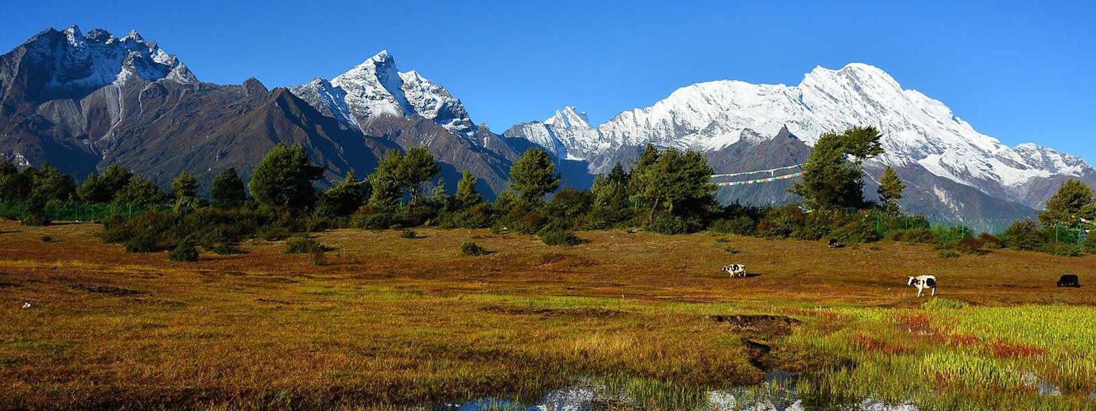 Mount Everest Unknown Kangshung Face Trek