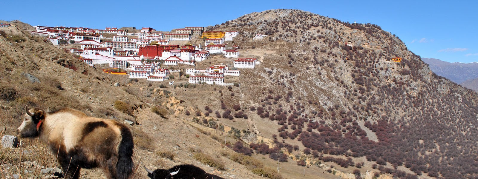 Ganden to Samye Monastery Trek