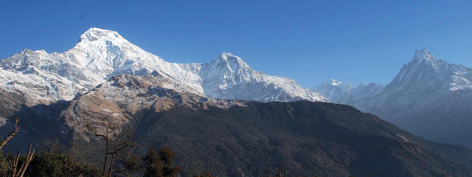 Ghorepani Poon Hill and Chitwan Jungle Safari