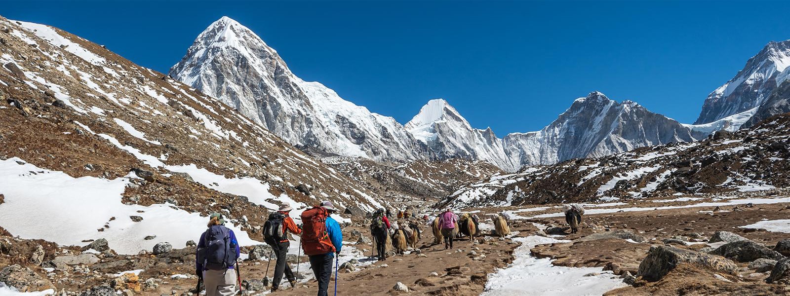 Gokyo Lake Cho-La Pass and Everest Base Camp Trekking