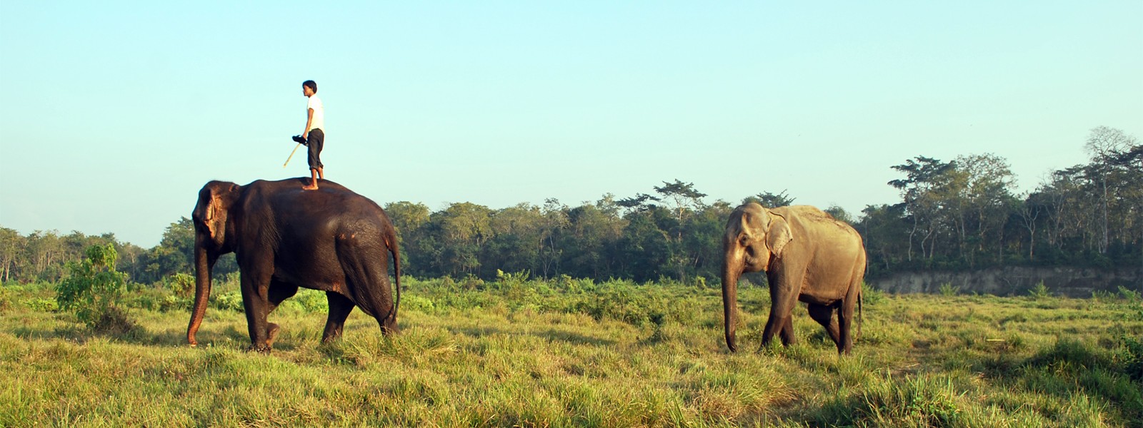 Nepal Jungle Safari