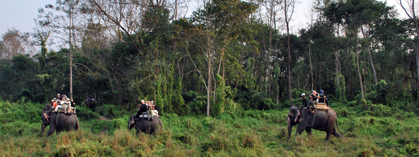 Ghorepani Poon Hill and Chitwan Jungle Safari