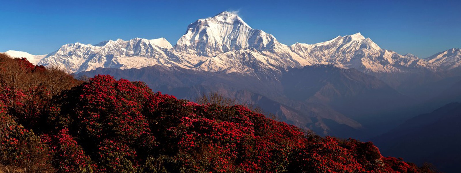 Adventure Khair (Kopra Ridge) Trekking-Annapurna Region