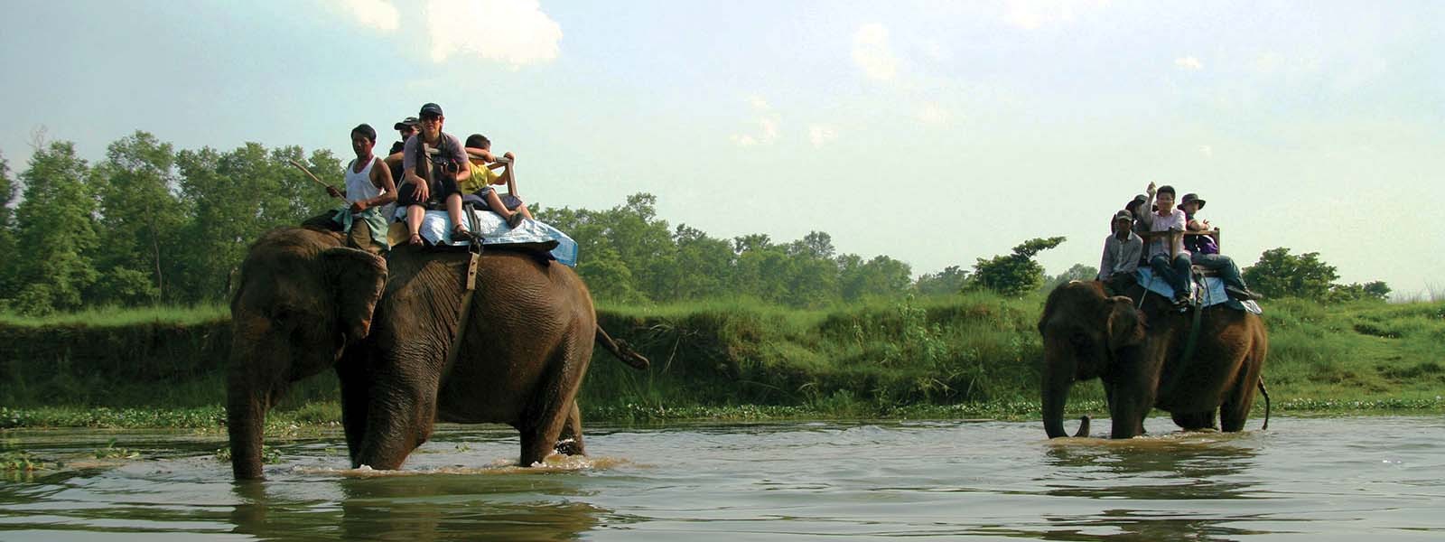 Koshi Tappu Wildlife 