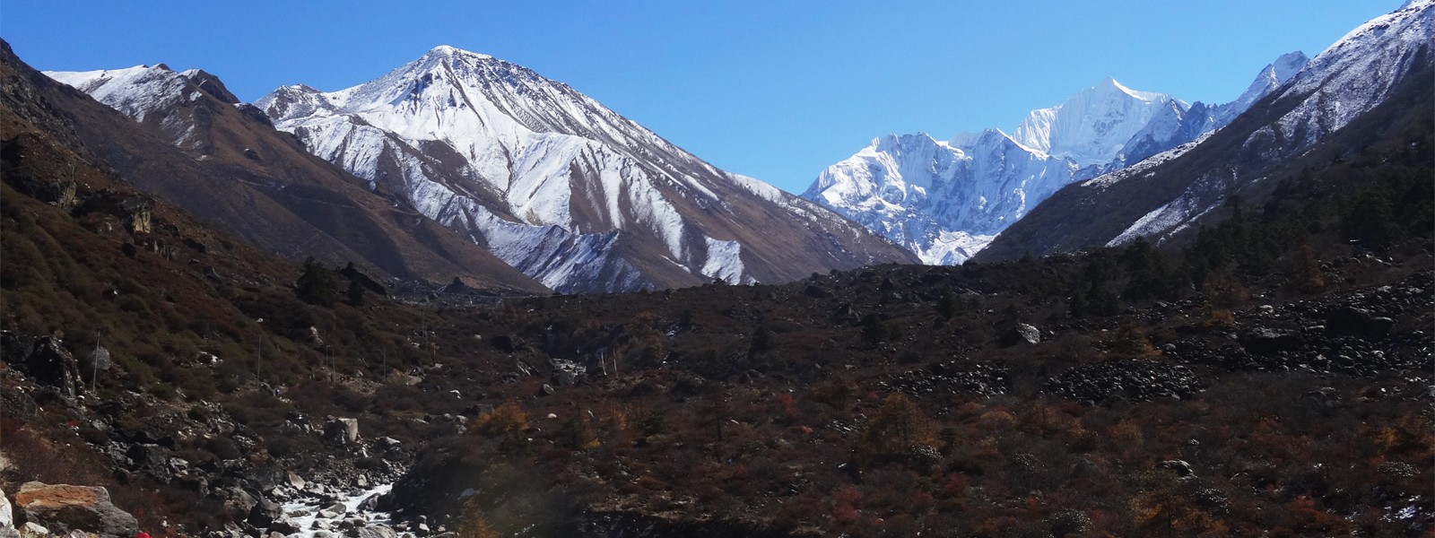 Langtang and Helambu Trekking