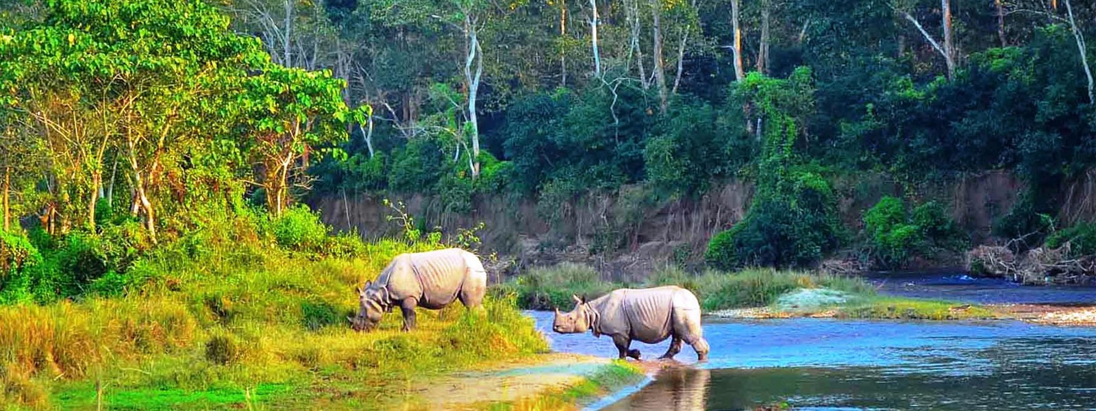 Langtang and Helambu Region Trekking with Chitwan Jungle Safari