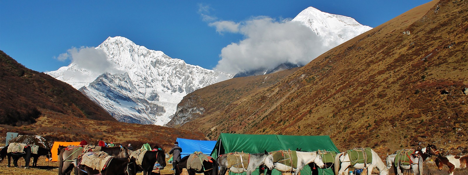 Laya Trekking