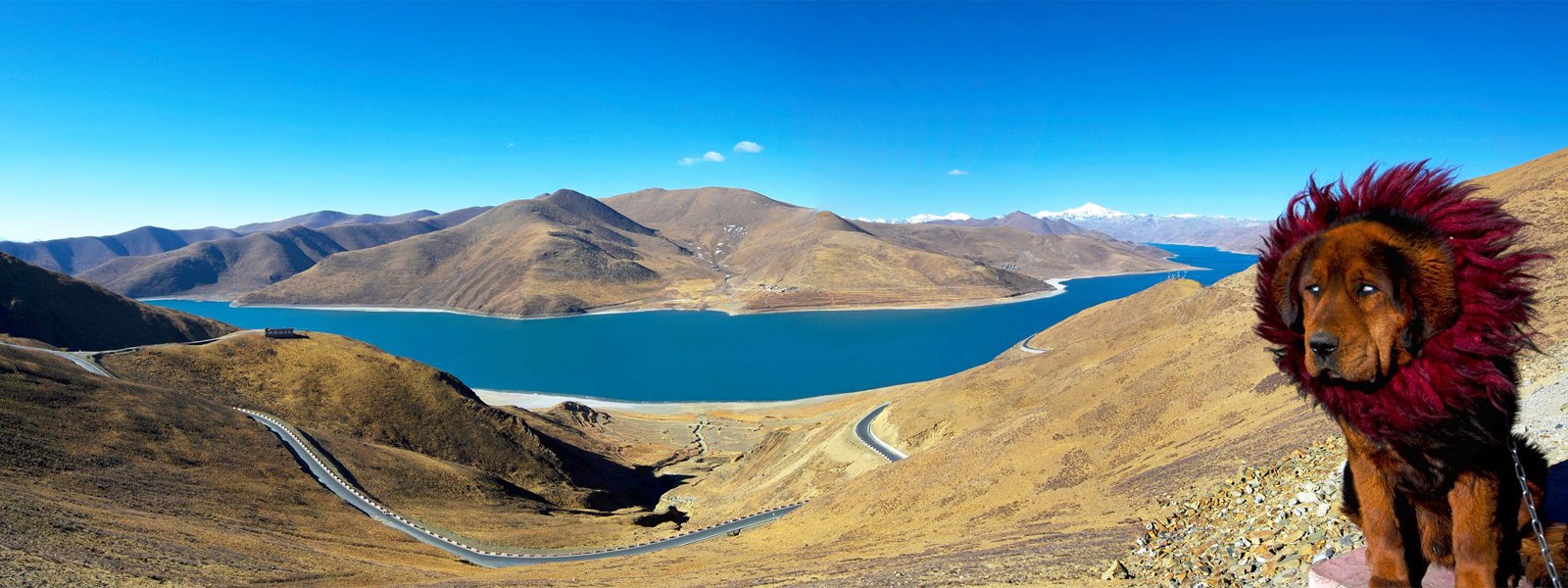 Overland Tour in Tibet