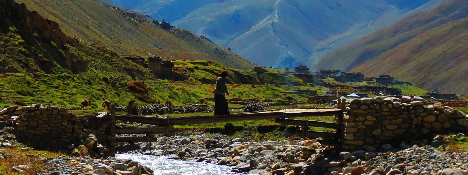 Lower Dolpo and Annapurnas