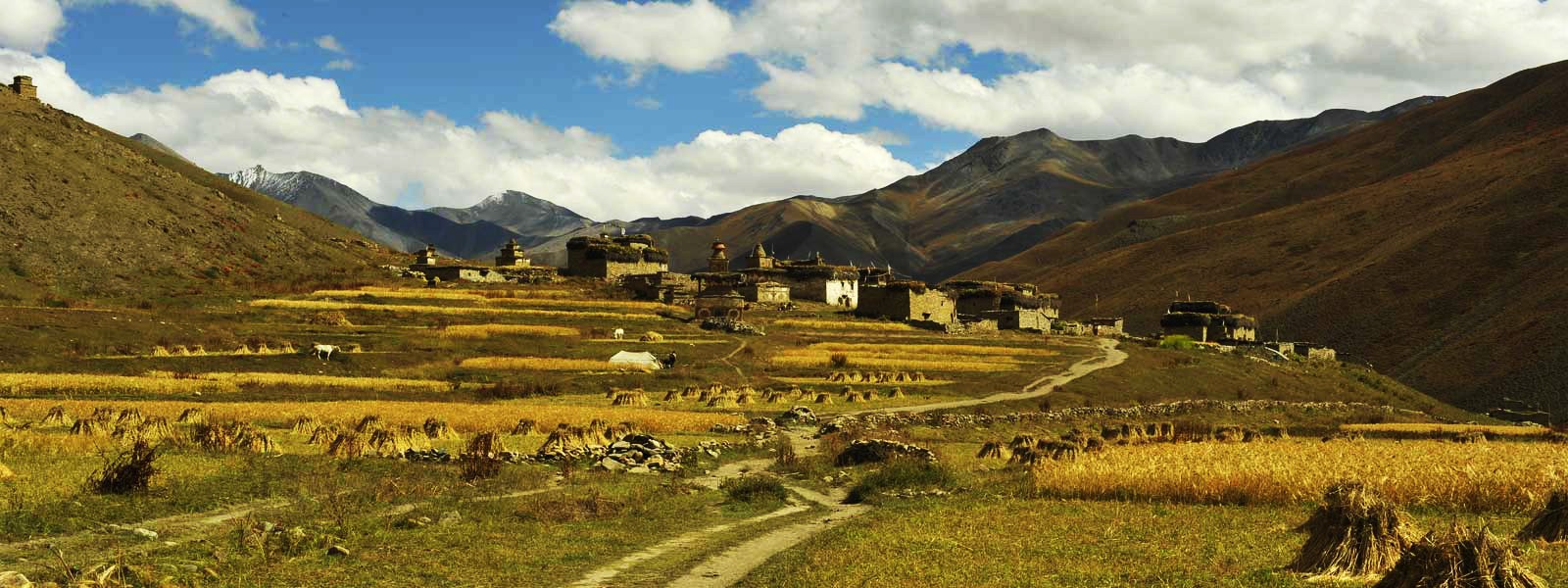 Lower Dolpo and Annapurnas Trekking