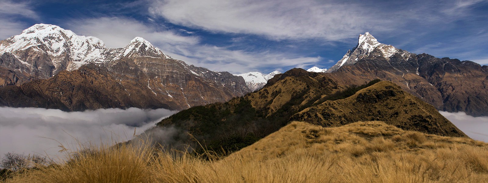 Machhapuchhre Model Trekking 