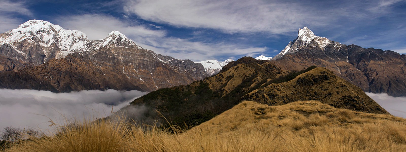 Machhapuchhre Model Trekking 