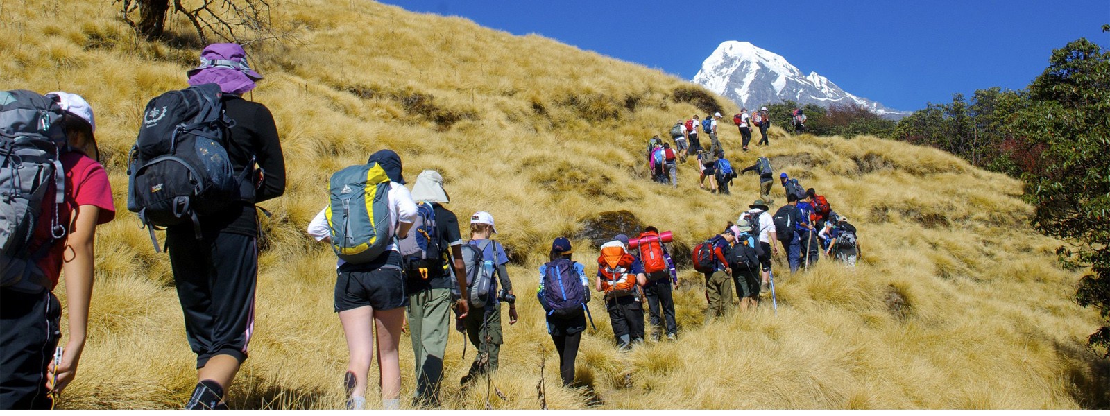 Mardi Himal View Trekking - Annapurna Region