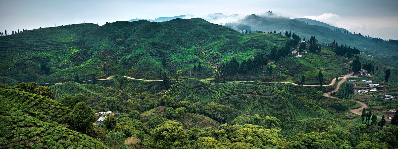 Kanchenjunga Region Trekking