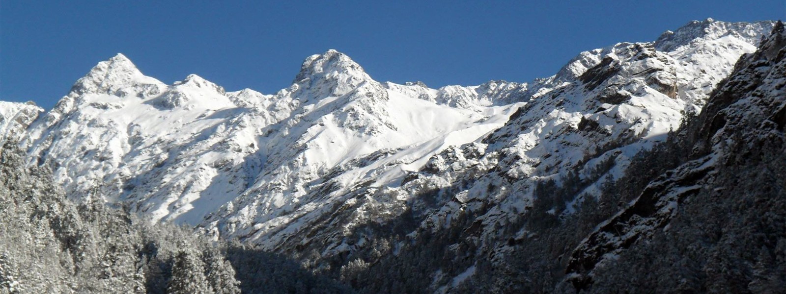 Paldor Peak Base Camp 