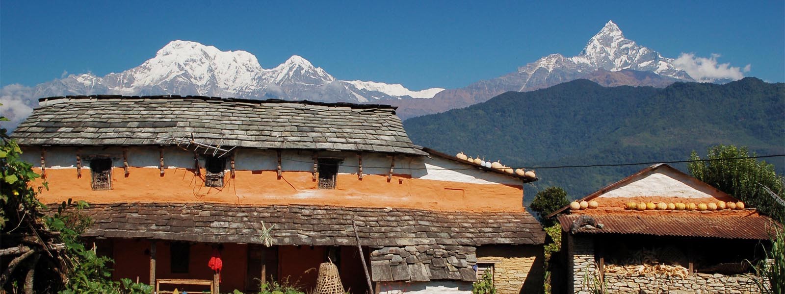 Panchase Trekking - Annapurna region