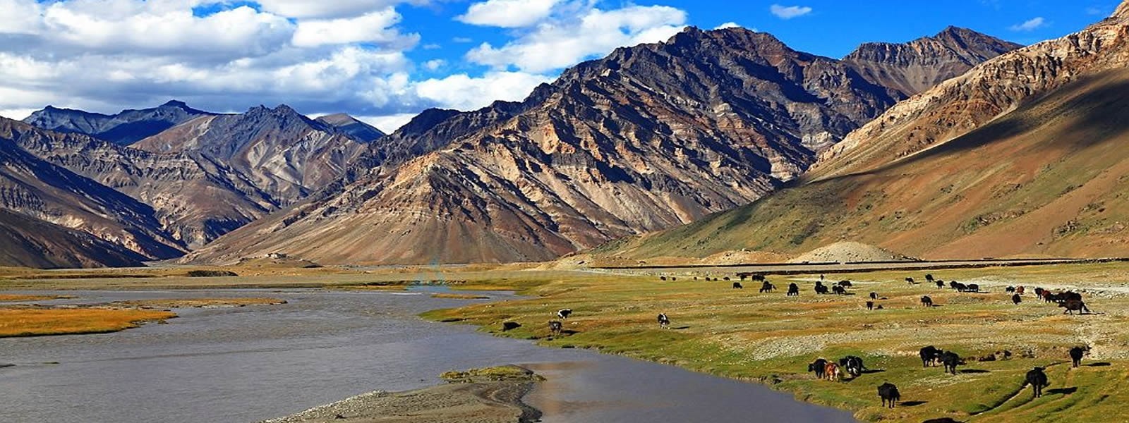 ladakh rupshu trek