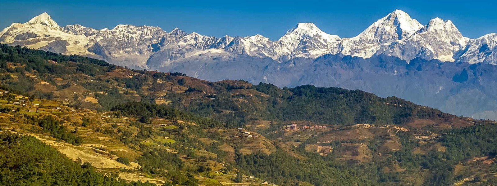 Shivapuri and Chisopani Trek