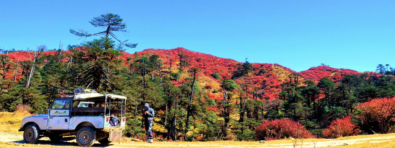 Uttarey Singalila Trekking