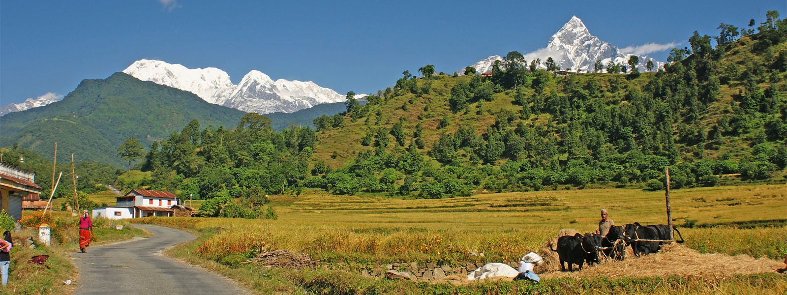 Skyline or Royal Trek - Nepal