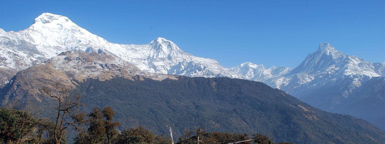 Annapurna South-Hiunchuli and Machhapuchhre