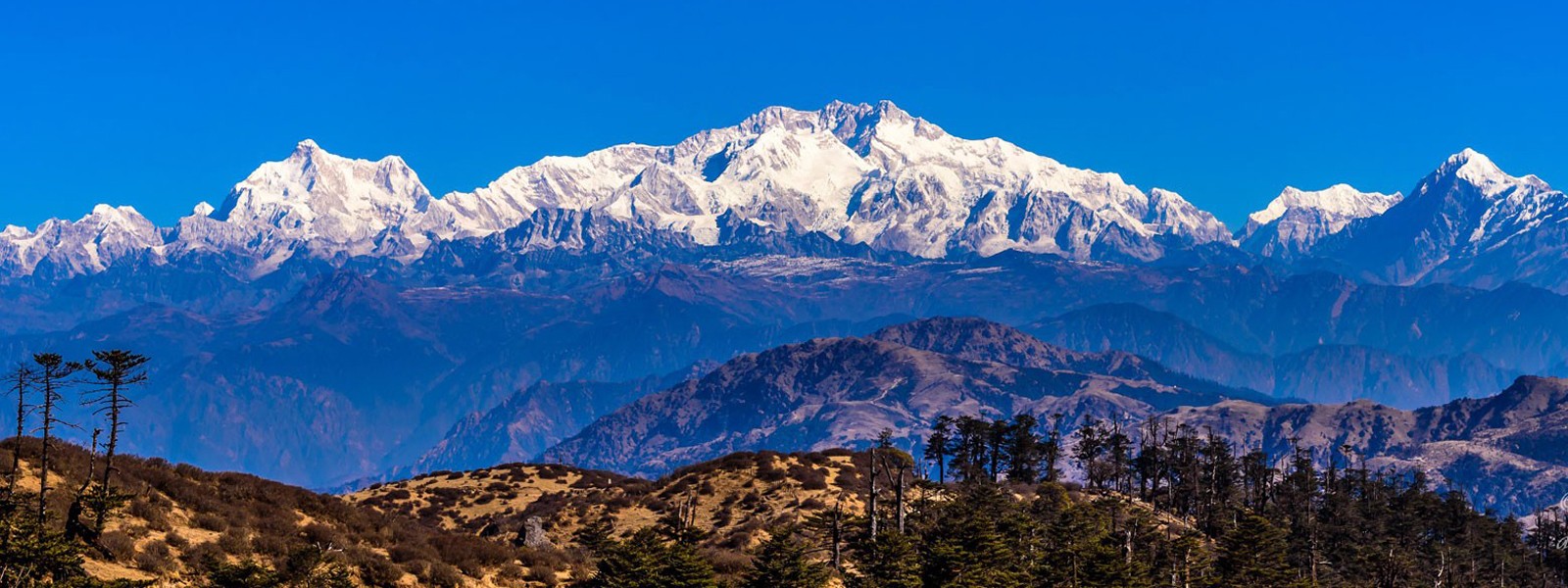 Trekking Around Darjeeling