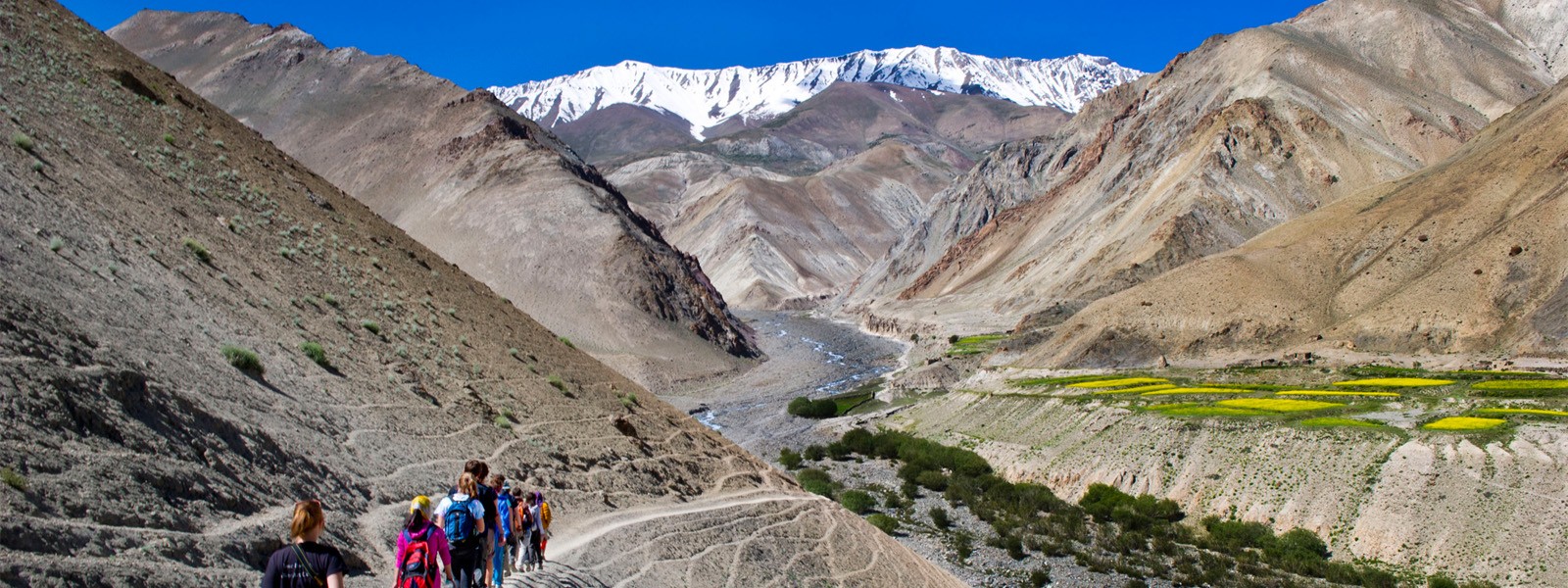 Ladakh with Zanskar Trekking 