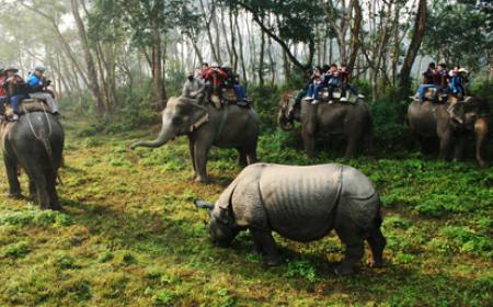 Chitwan Jungle Safari