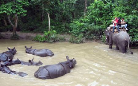 Chitwan Wildlife Heli Tour